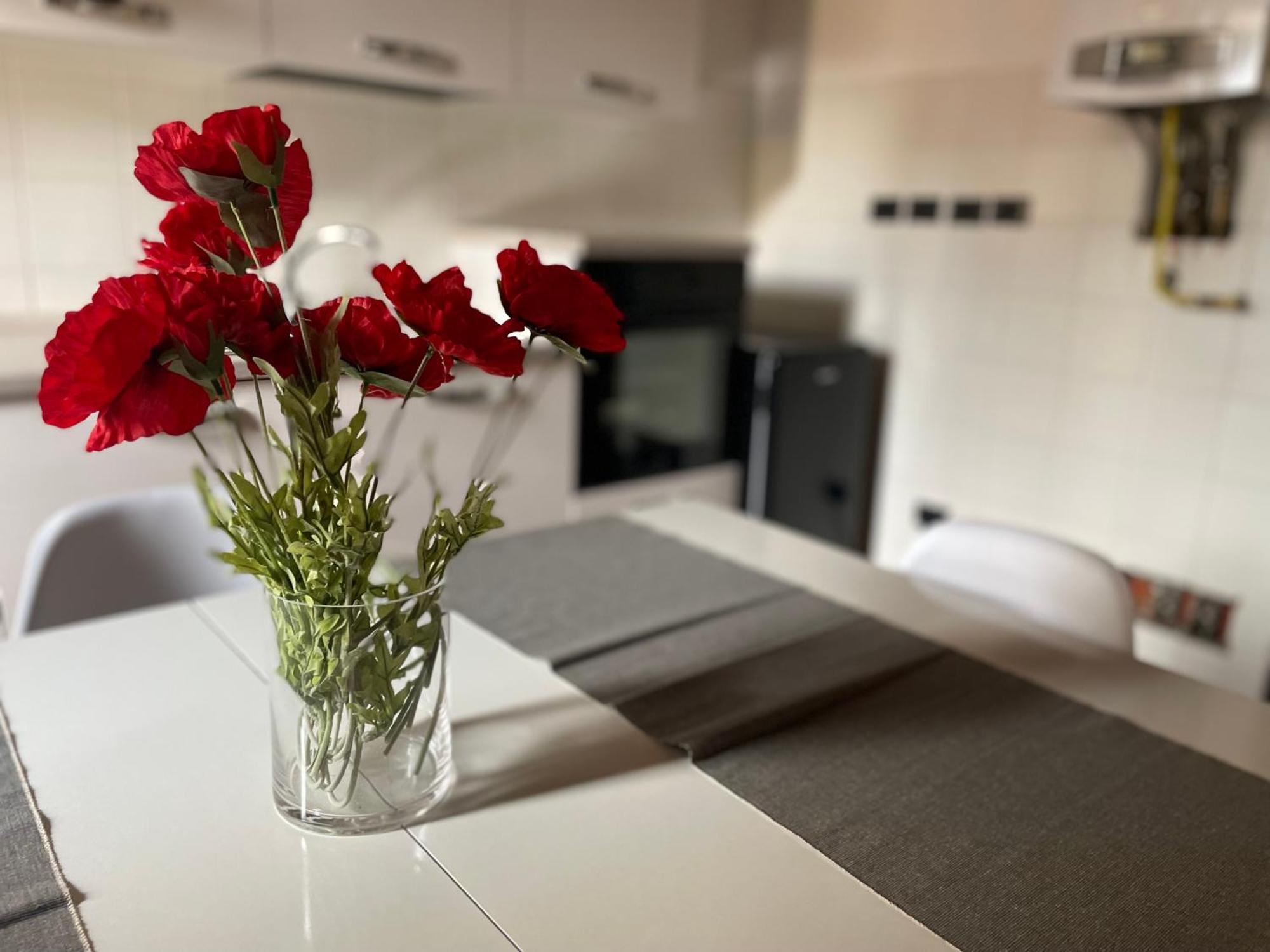 Apartament Scaligeri House Werona Zewnętrze zdjęcie